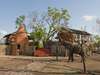 Amara Selous - elephant outside camp